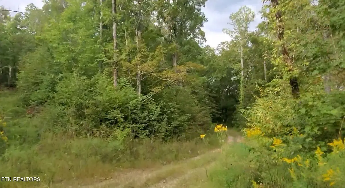 1B Junaluska Drive, Jamestown, TN 38556 - Image #1