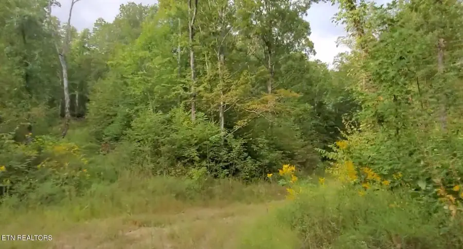 1B Junaluska Drive, Jamestown, TN 38556 - Image #2