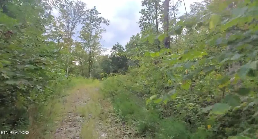 1B Junaluska Drive, Jamestown, TN 38556 - Image #3