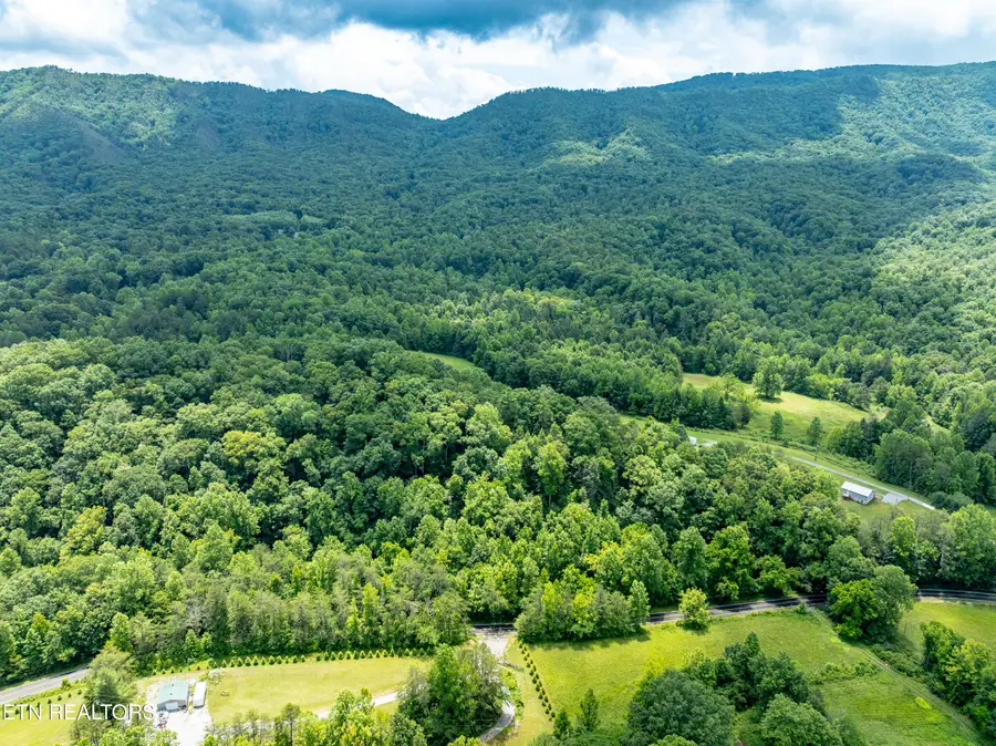 1477 Old Chilhowee Rd, Seymour, TN 37865 - #3