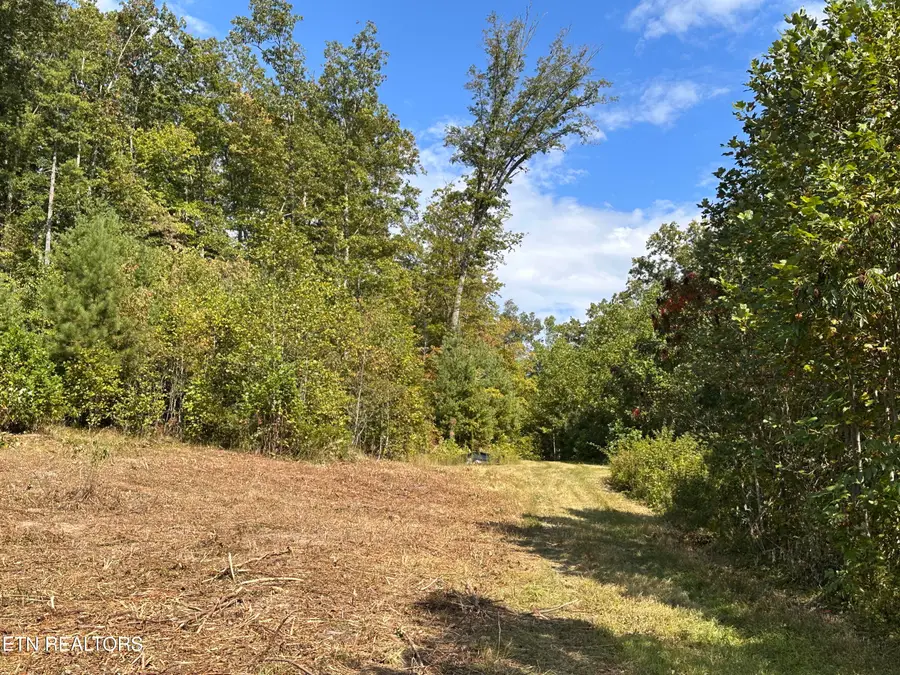 13.44 Ac Chestnut Ridge Rd, Allardt, TN 38504 - Image #3