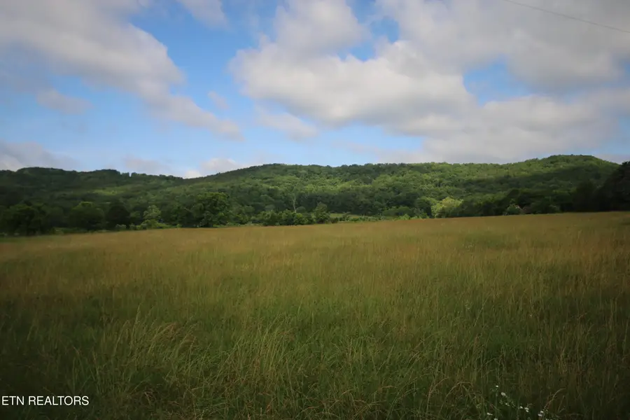 110 Acres Bivens Rd., Tellico Plains, TN 37385 - Image #2