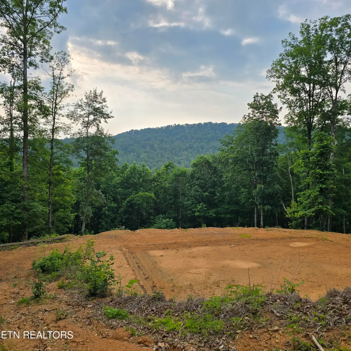 1133 Tomahawk Drive, Jamestown, TN 38556 - Image #1