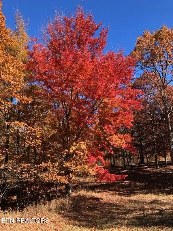 217 A Day Dream Drive, Dunlap, TN 37327 - #1