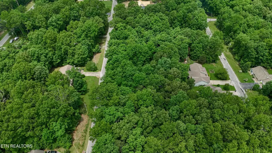 2109 Black Wolf Drive, Crossville, TN 38572 - Image #2