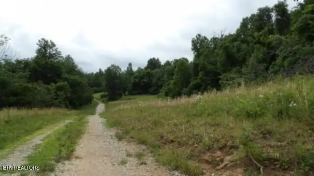 51.30ac Livingston Hwy, Byrdstown, TN 38549 - Image #1