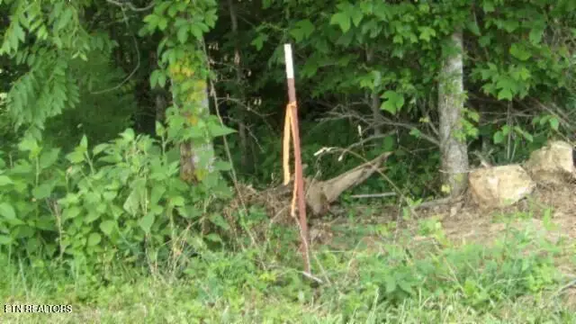 51.30ac Livingston Hwy, Byrdstown, TN 38549 - Image #2