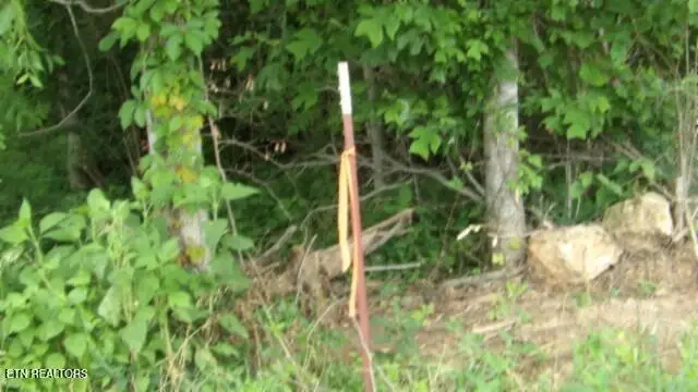 51.30ac Livingston Hwy, Byrdstown, TN 38549 - Image #3