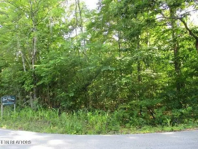 Lot 12 Red Cloud Rd, Ten Mile, TN 37880 - Image #1