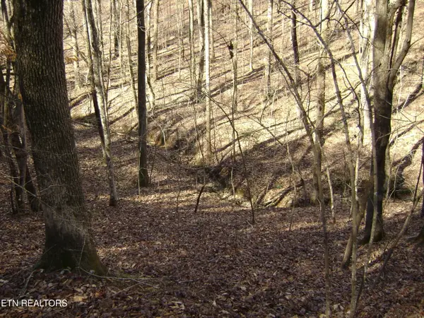 0 Torbett Road Rd, Spring City, TN 37381