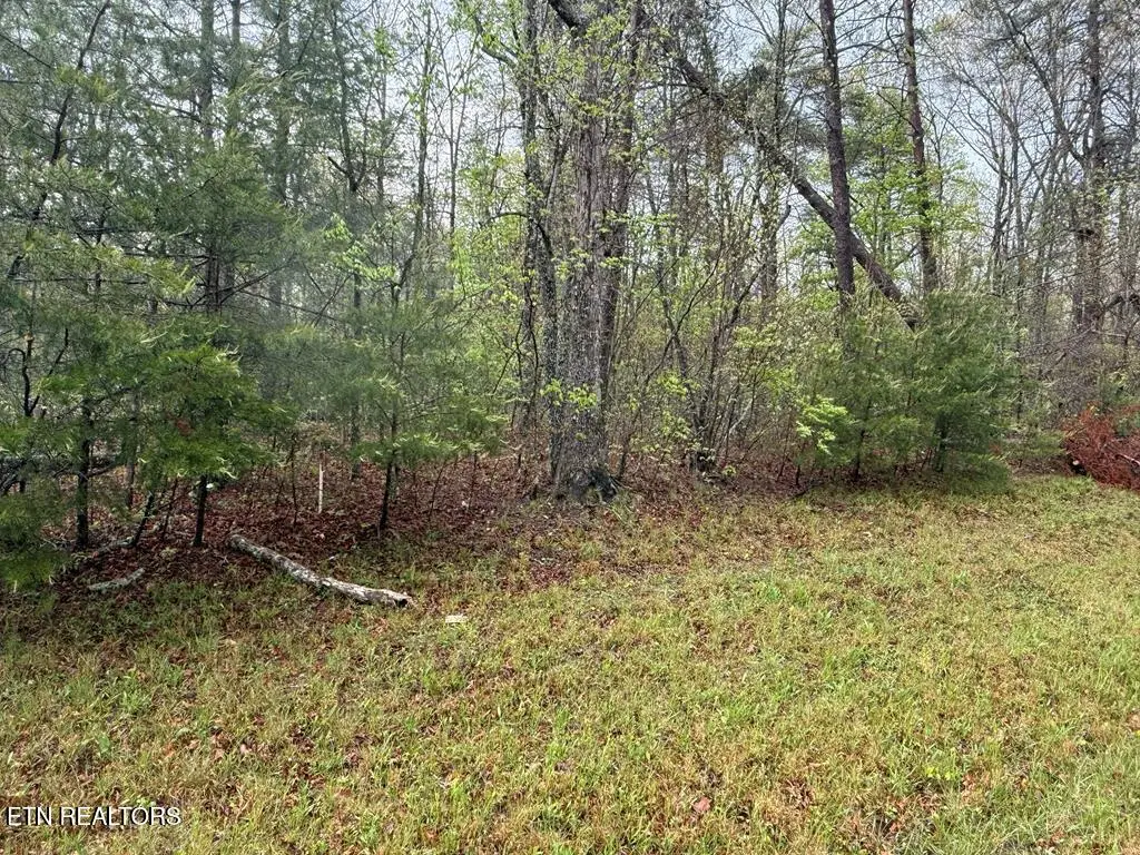 0 Mountain Ash Drive, Monterey, TN 38574 - Image #1