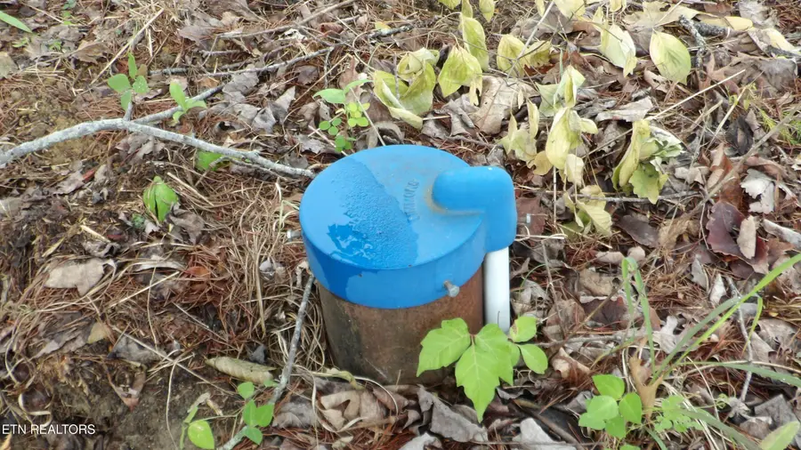 442 Valley View Circle, Wilder, TN 38589 - Image #2