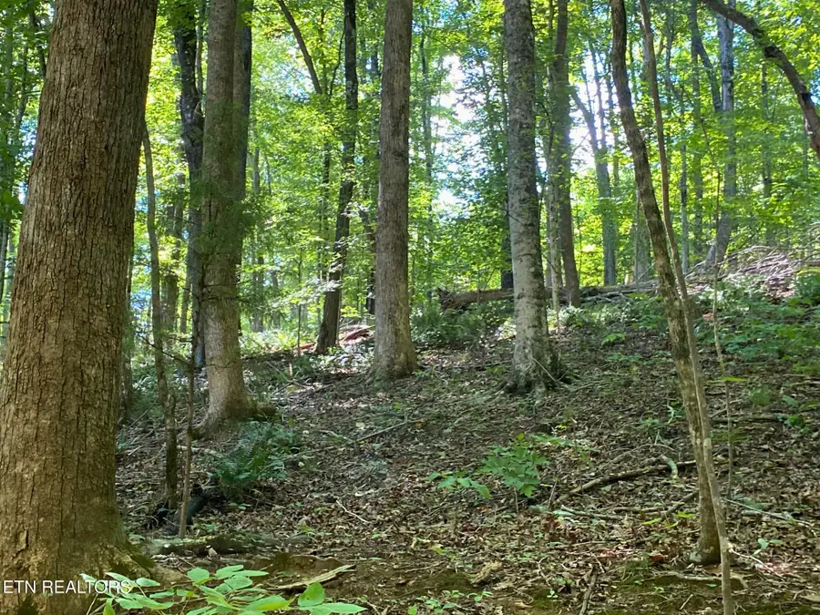 #3