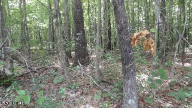 Lot 48 Parkstown Ext. Rd, Wilder, TN 38589 - Image #3