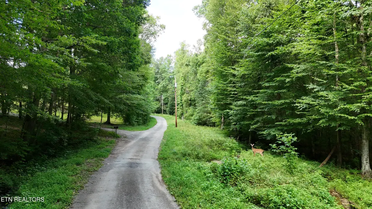 Lot 13/14 Clifton Cemetery Rd, Spring City, TN 37381 - #1