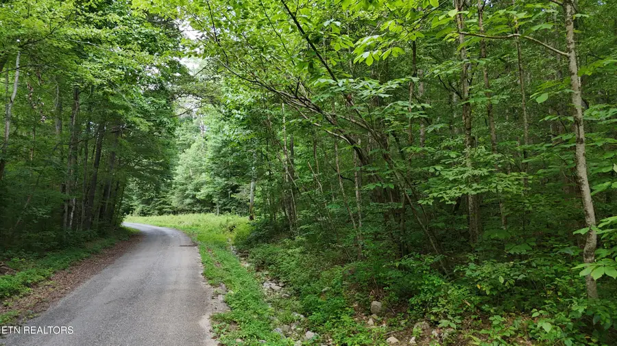 Lot 13/14 Clifton Cemetery Rd, Spring City, TN 37381 - #3