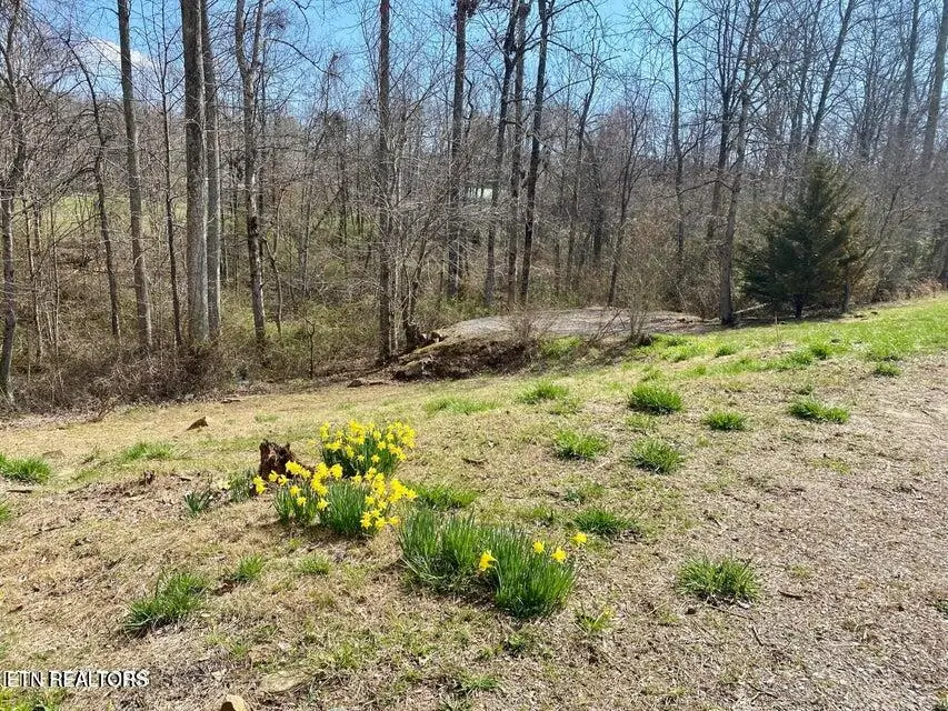 164 Norris St, Crossville, TN 38572 - #3