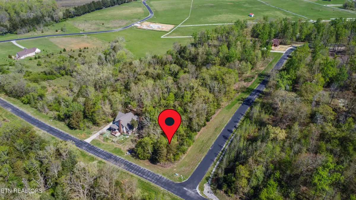 359 Walking Horse Tr, Rockwood, TN 37854 - Image #1