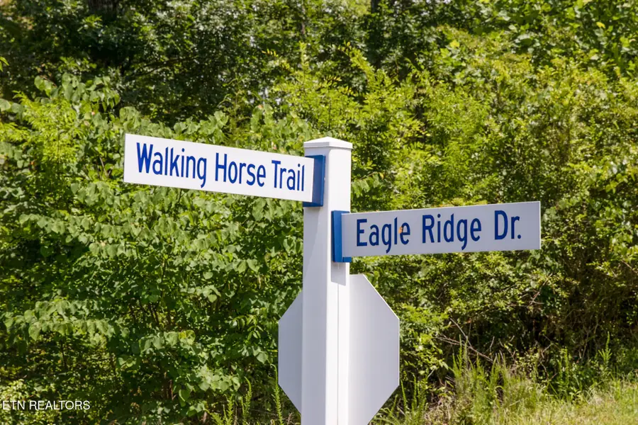 359 Walking Horse Tr, Rockwood, TN 37854 - Image #3