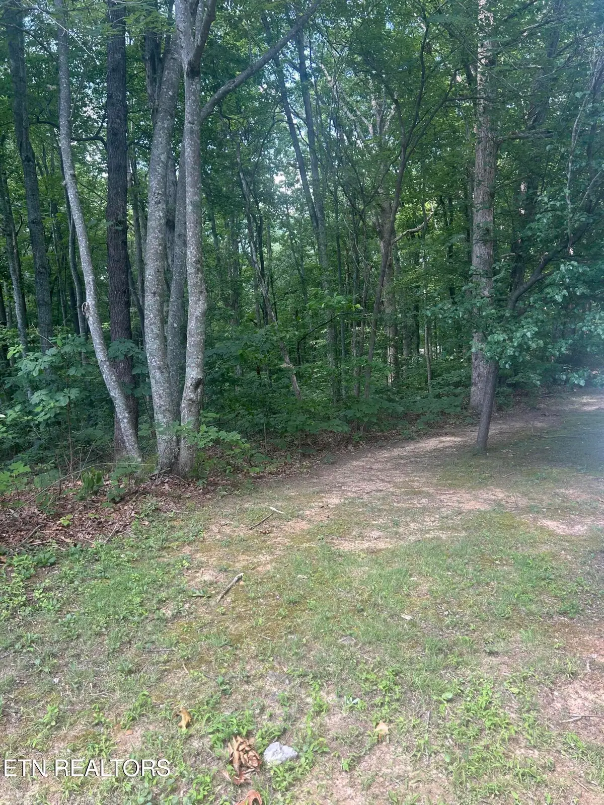 0 Huckleberry Drive, Jamestown, TN 38556 - Image #1