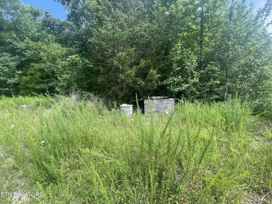 286 County Road 285, Niota, TN 37826 - Image #3