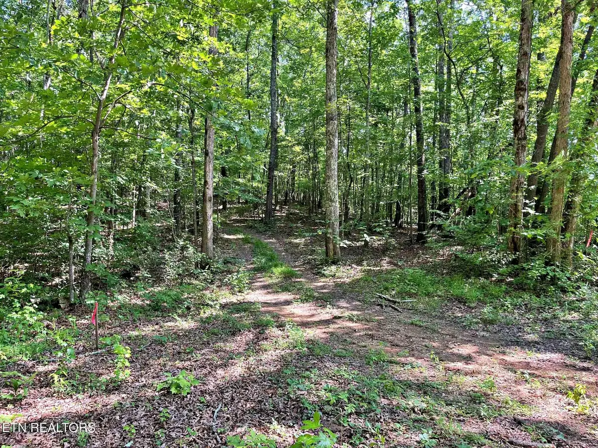 Lot 4 Raby Hollow Road, Kingston, TN 37763 - #1