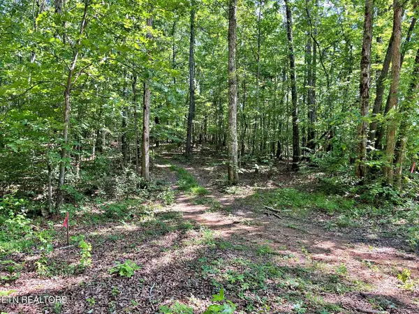 Lot 4 Raby Hollow Road, Kingston, TN 37763