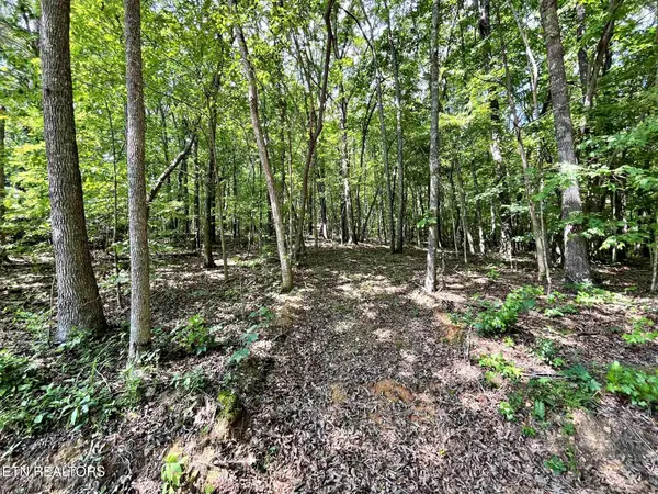Lot 2 Raby Hollow Road, Kingston, TN 37763