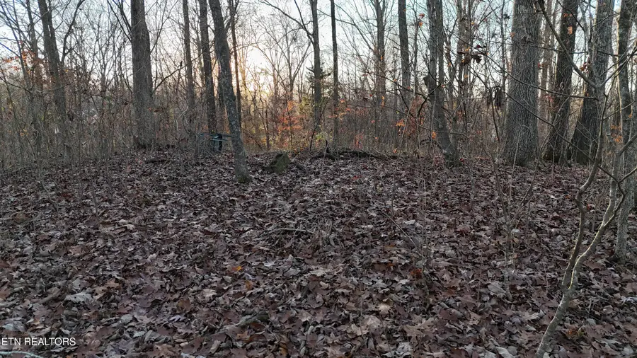 000 NE Chestuee Drive, Cleveland, TN 37323 - Image #3