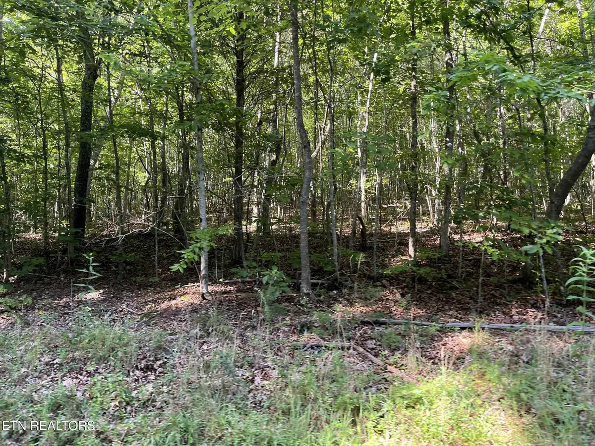 Lot 1 Keylon Hollow Road, Ten Mile, TN 37880 - Image #1