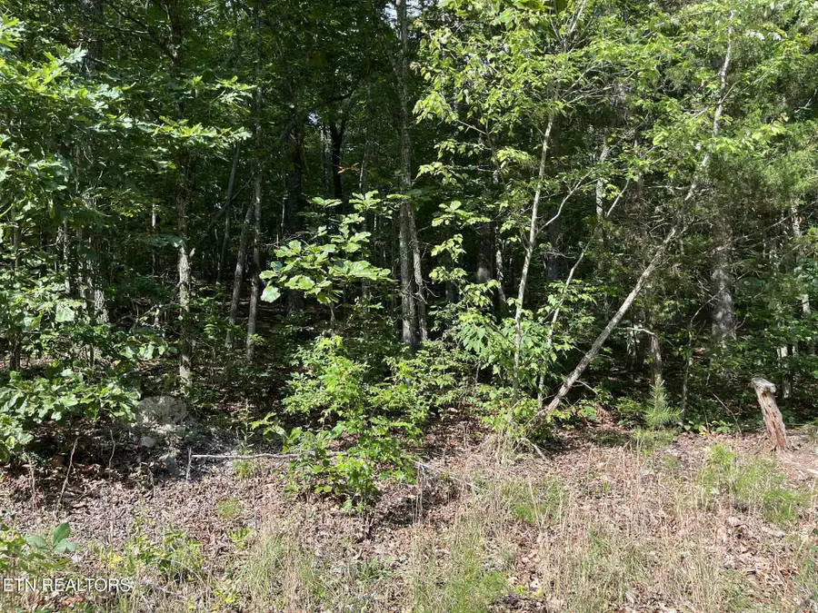 Lot 1 Keylon Hollow Road, Ten Mile, TN 37880 - Image #2