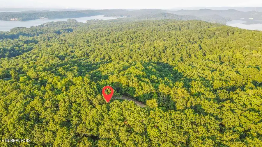 140 Mary Brown Lane, Rockwood, TN 37854 - #3