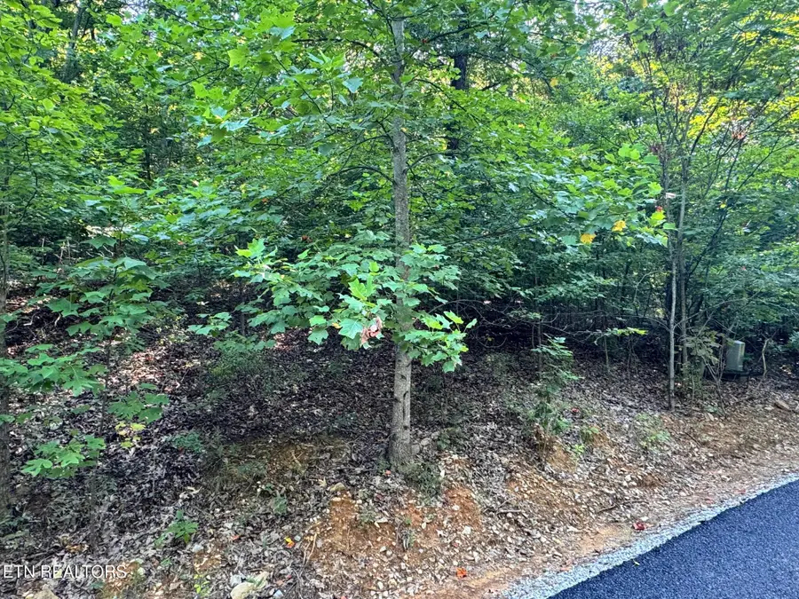 626 North Pointe Tr, Allons, TN 38541 - #3