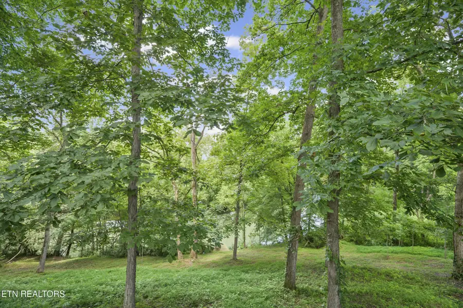 579 Blue Springs Rd, Sparta, TN 38583 - Image #3