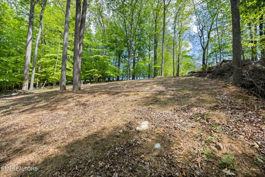 Hagaman Rd, Andersonville, TN 37705 - #3