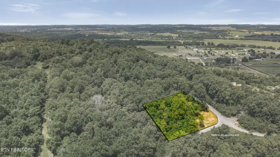 00 Lot 41 Poplar Drive, Sweetwater, TN 37874 - Image #3