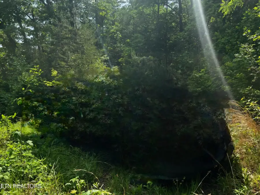 000 Vista Drive, Gatlinburg, TN 37738 - Image #3