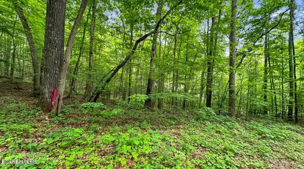 Graves Hollow Lot 2 Rd, Maynardville, TN 37807