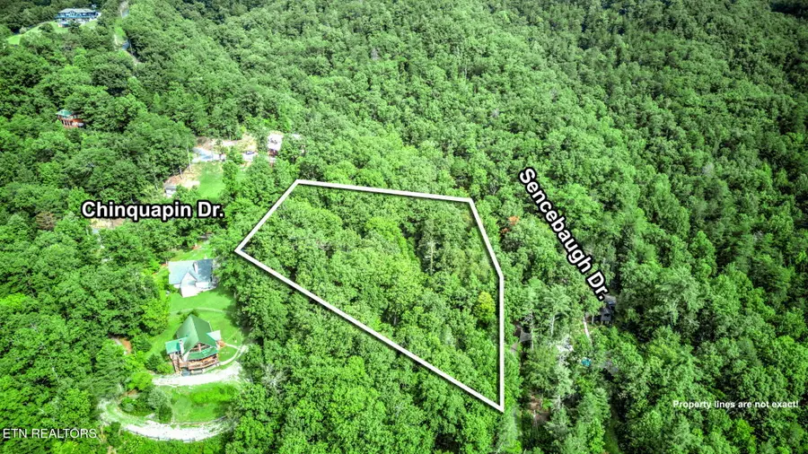 Chinquapin, Sevierville, TN 37876 - Image #3