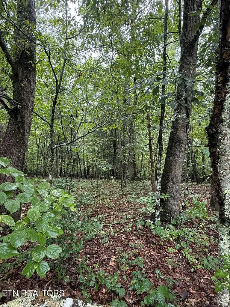 3038 Oklahoma Drive, Crossville, TN 38572 - Image #3