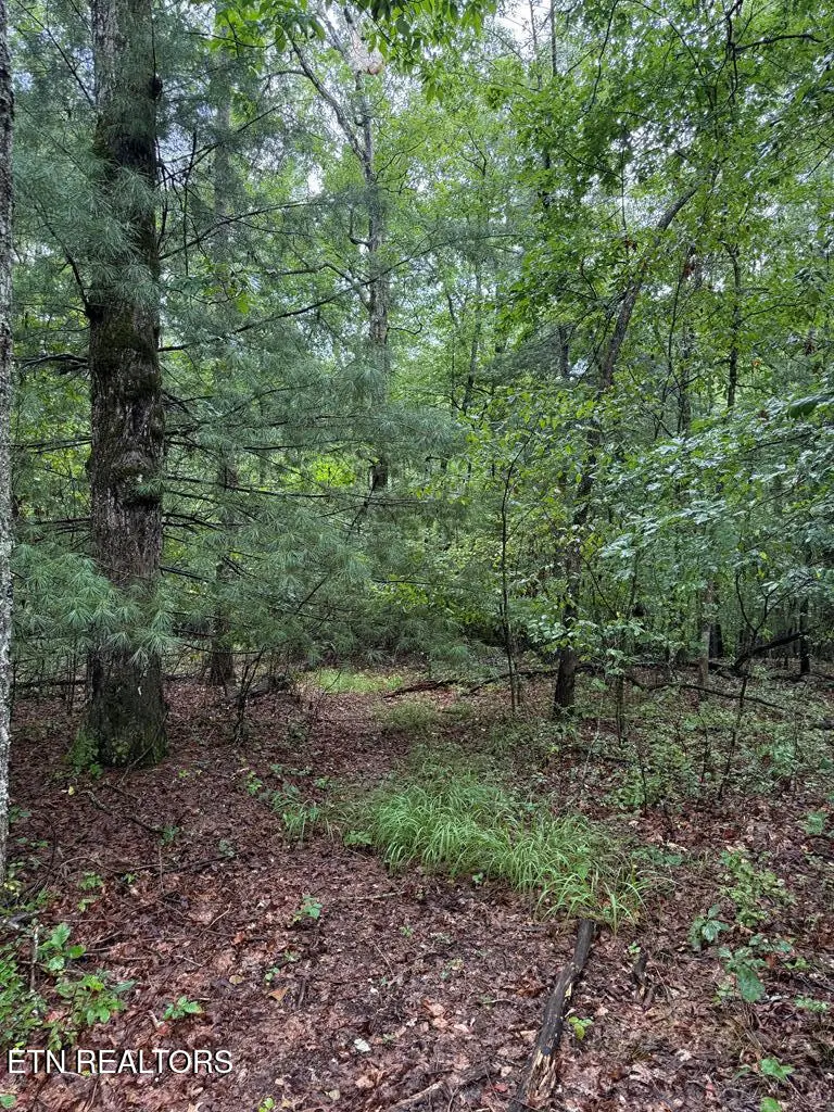 929 Kemah Ln, Crossville, TN 38572 - Image #1