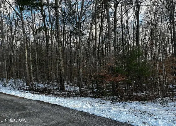 Lot 3 Evergreen Drive, Oneida, TN 37841