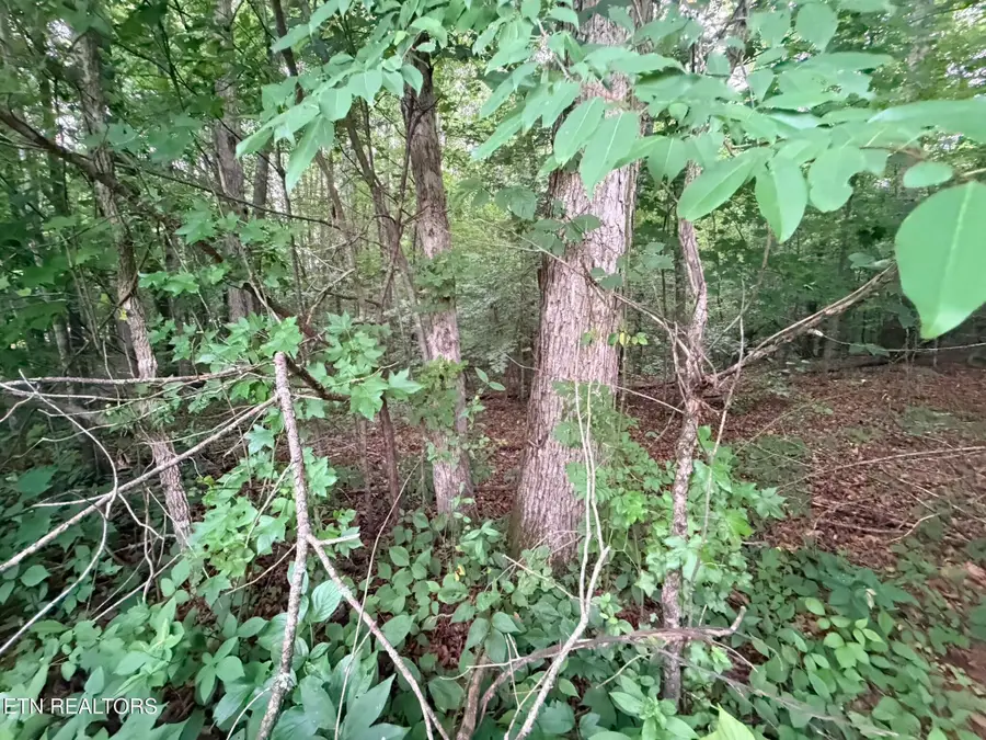 Lot 4 Evergreen Drive, Oneida, TN 37841 - #2