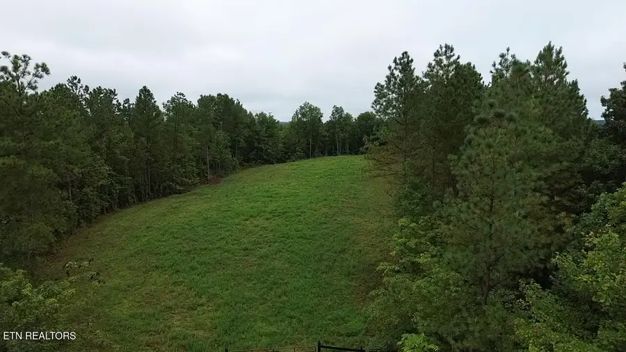 #3