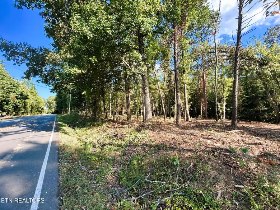 Tract 2 Pleasant Hill Road, Ten Mile, TN 37880 - Image #3