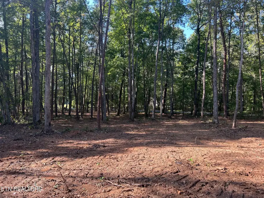 Tract 6 Pleasant Hill Road, Ten Mile, TN 37880 - Image #2