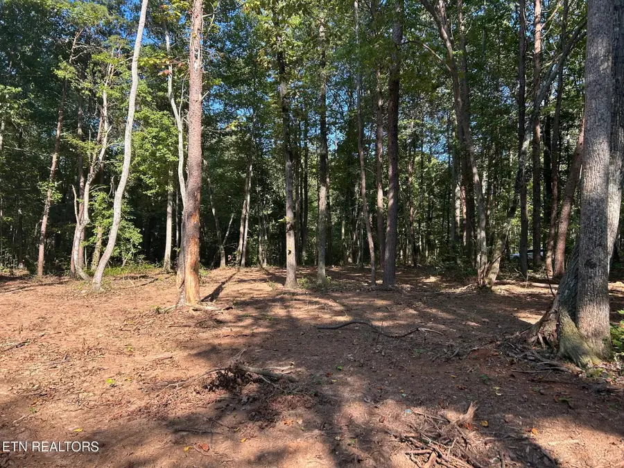 Tract 6 Pleasant Hill Road, Ten Mile, TN 37880 - Image #3