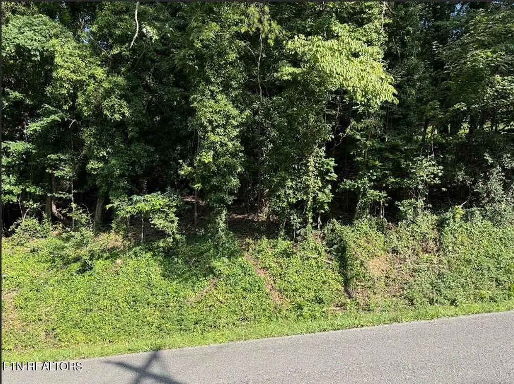 Lot 89 Edgewater Ave, Dayton, TN 37321 - #1