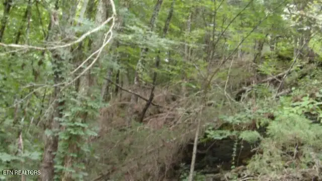 #3