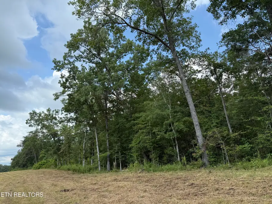 2571 Bellview Rd, Pikeville, TN 37367 - #3